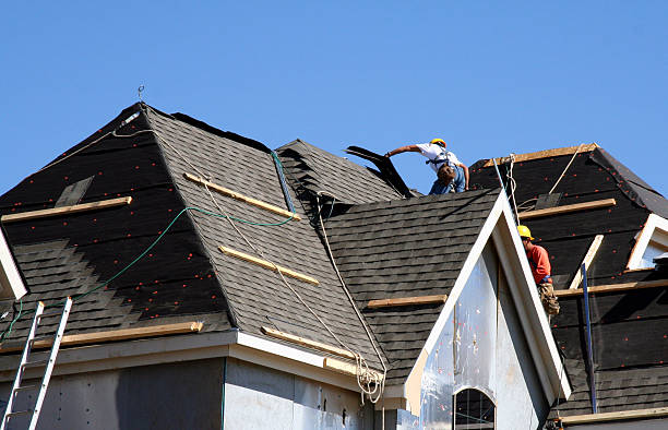 Roof Gutter Cleaning in Fort Collins, CO