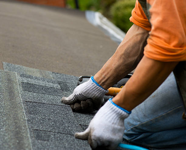 Quick and Trustworthy Emergency Roof Repair Services in Fort Collins, CO